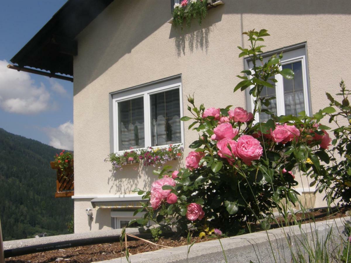 Ferienwohnung Brennseeblick Feld am See Bagian luar foto